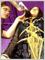 The return of the mysterious Sister Graves featuring Lady Rose, The long-lost cousin The return of the mysterious Sister Graves featuring Lady Rose, The long-lost cousin